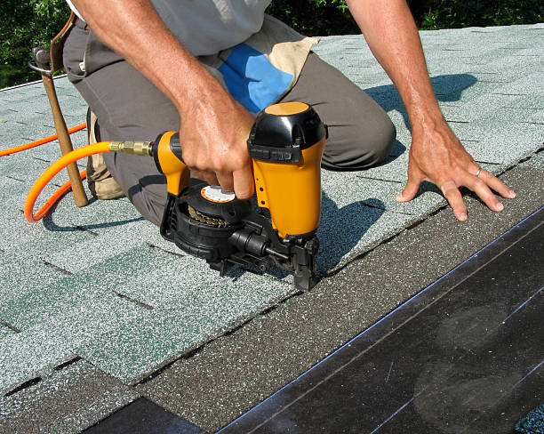 Best Roof Gutter Cleaning  in Spring Grove, IL