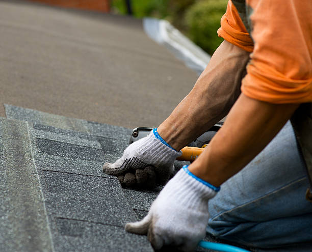 Roof Waterproofing Services in Spring Grove, IL