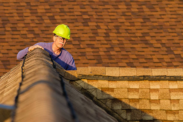 Best Roof Restoration Services  in Spring Grove, IL